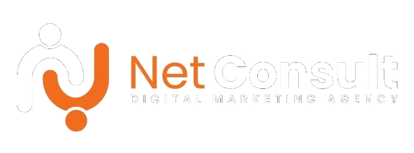 NetConsult Logo
